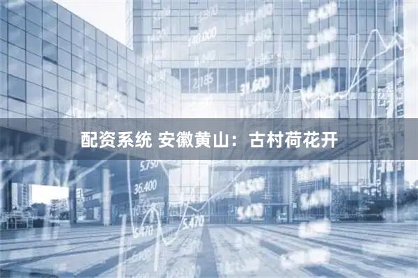 配资系统 安徽黄山：古村荷花开