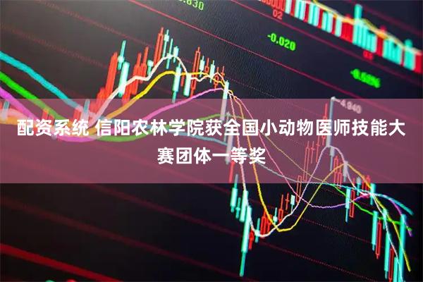 配资系统 信阳农林学院获全国小动物医师技能大赛团体一等奖