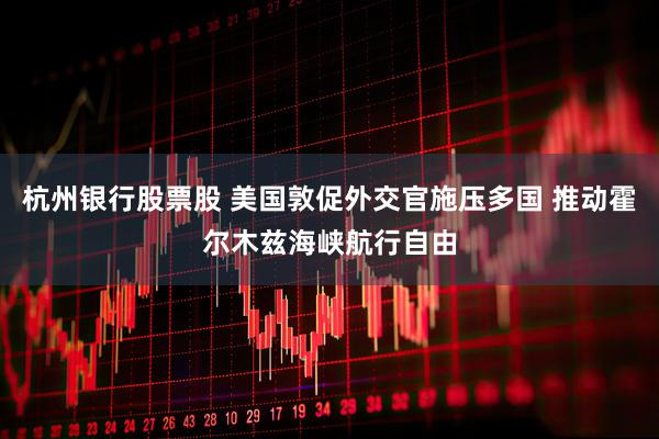 杭州银行股票股 美国敦促外交官施压多国 推动霍尔木兹海峡航行自由